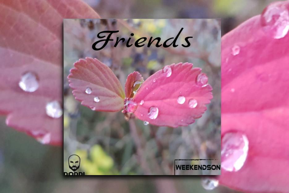 Read more about the article DODDI & WEEKENDSON – “Friends” Exclusive Review!